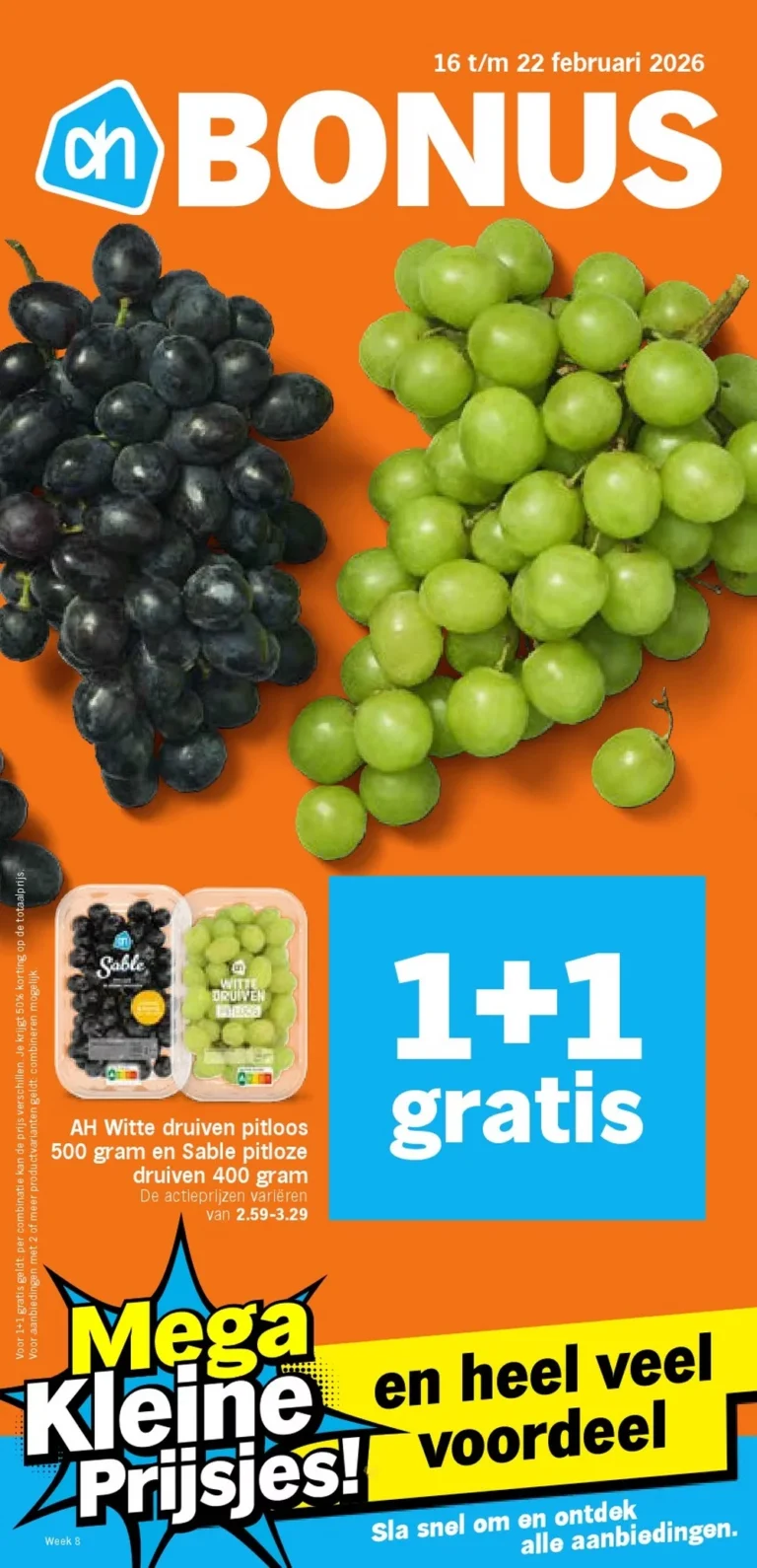 albert heijn folder week 8