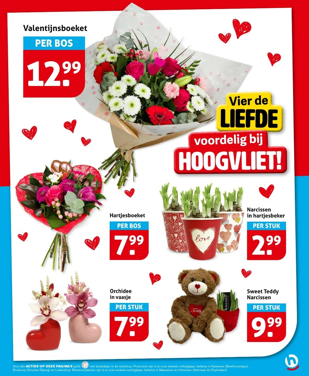 Hoogvliet folder week 7 17