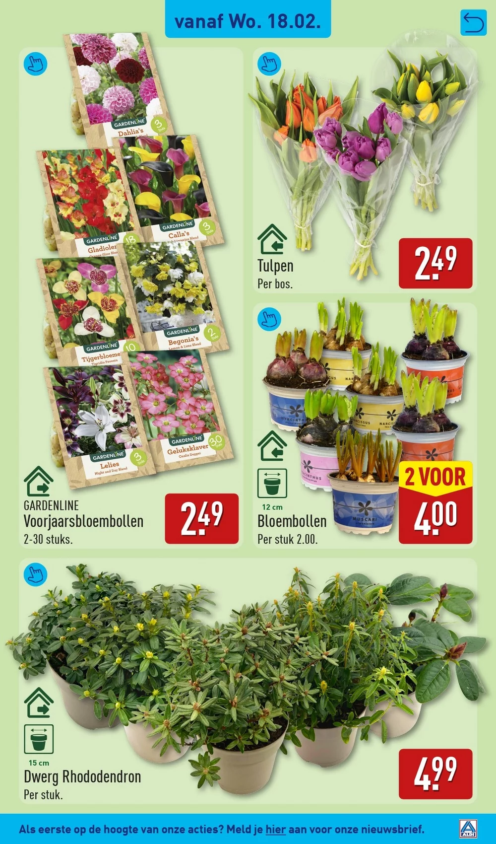 aldi folder week 8 35