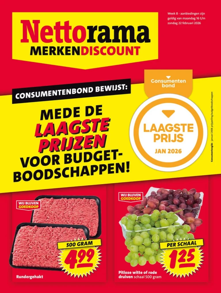 nettorama folder week-8