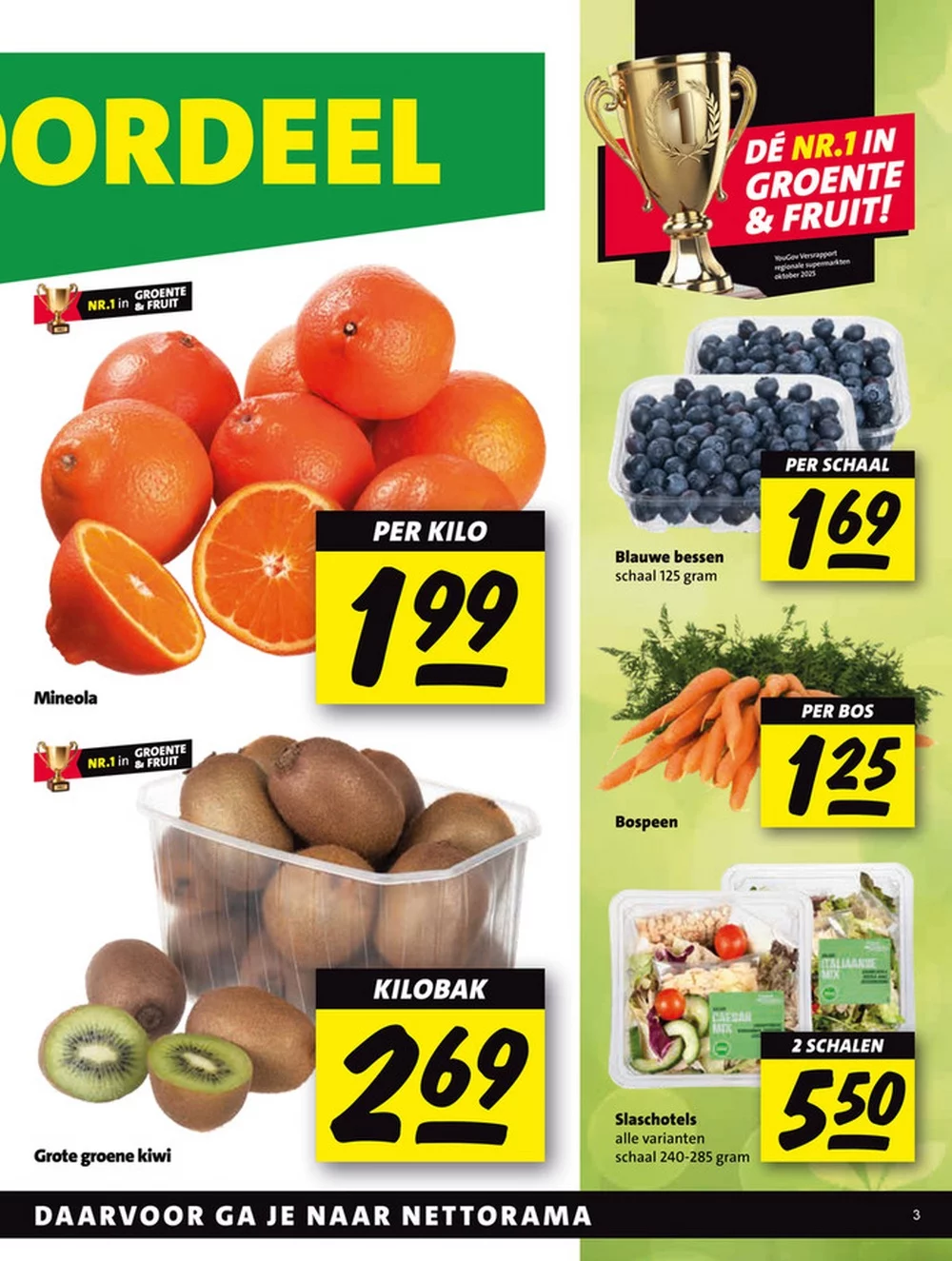 nettorama folder week 8 3