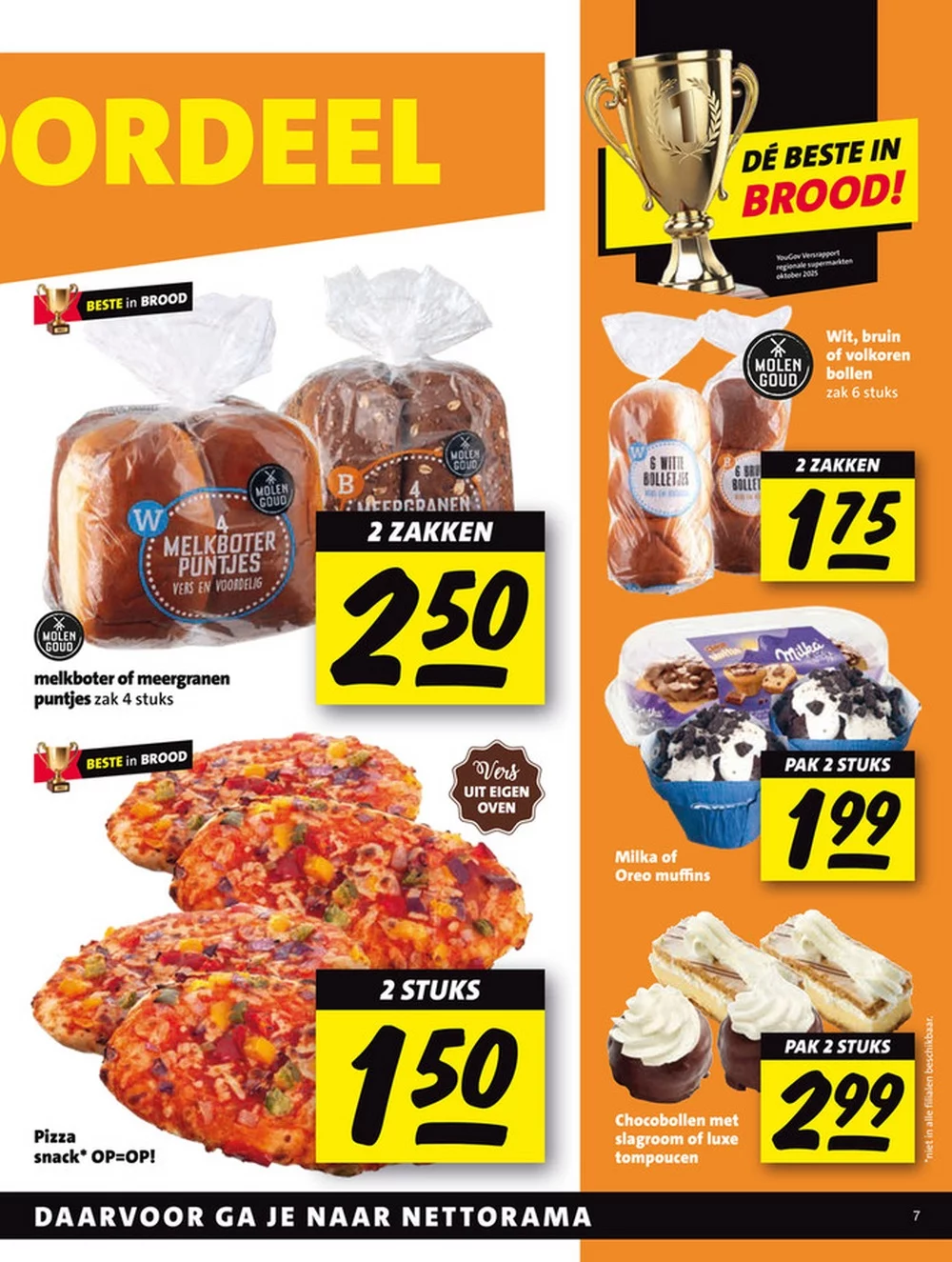 nettorama folder week 8 7