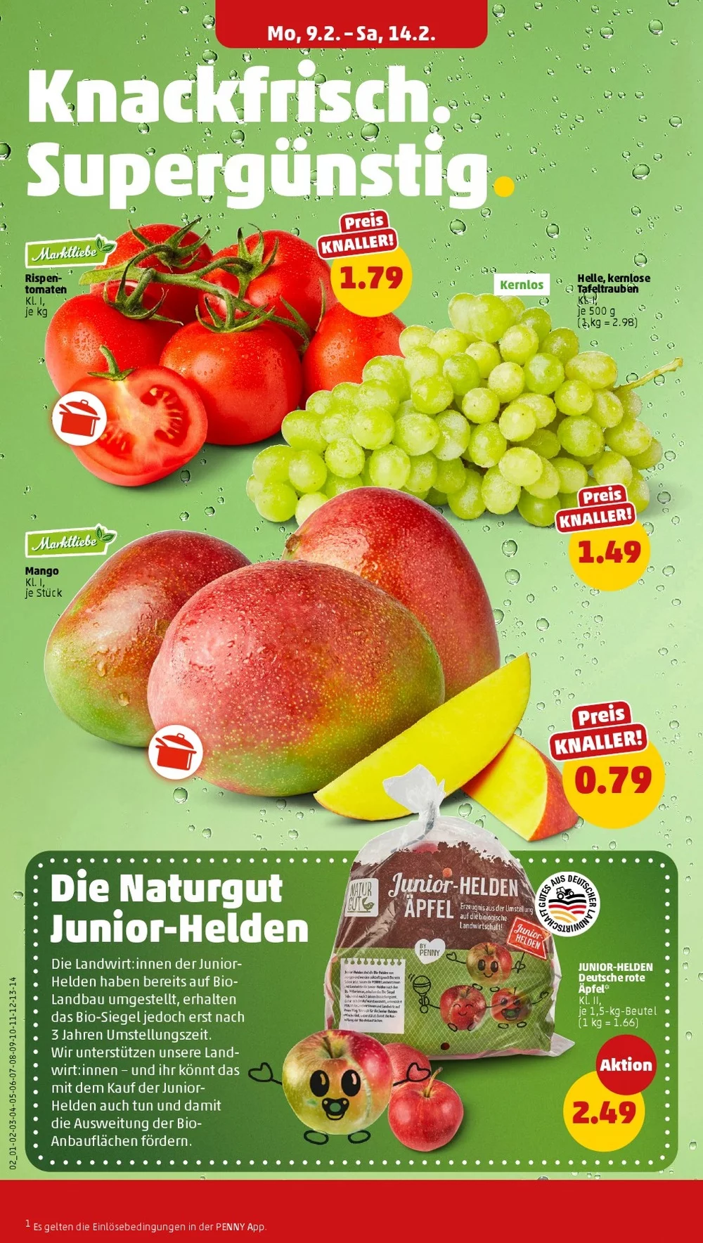 penny folder week 7 6