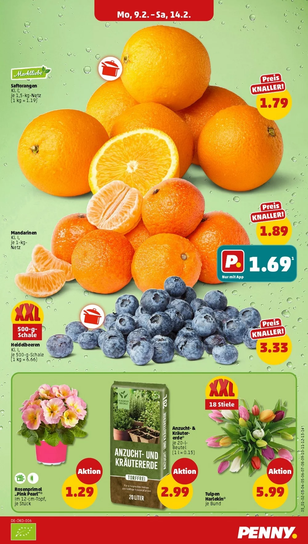 penny folder week 7 7