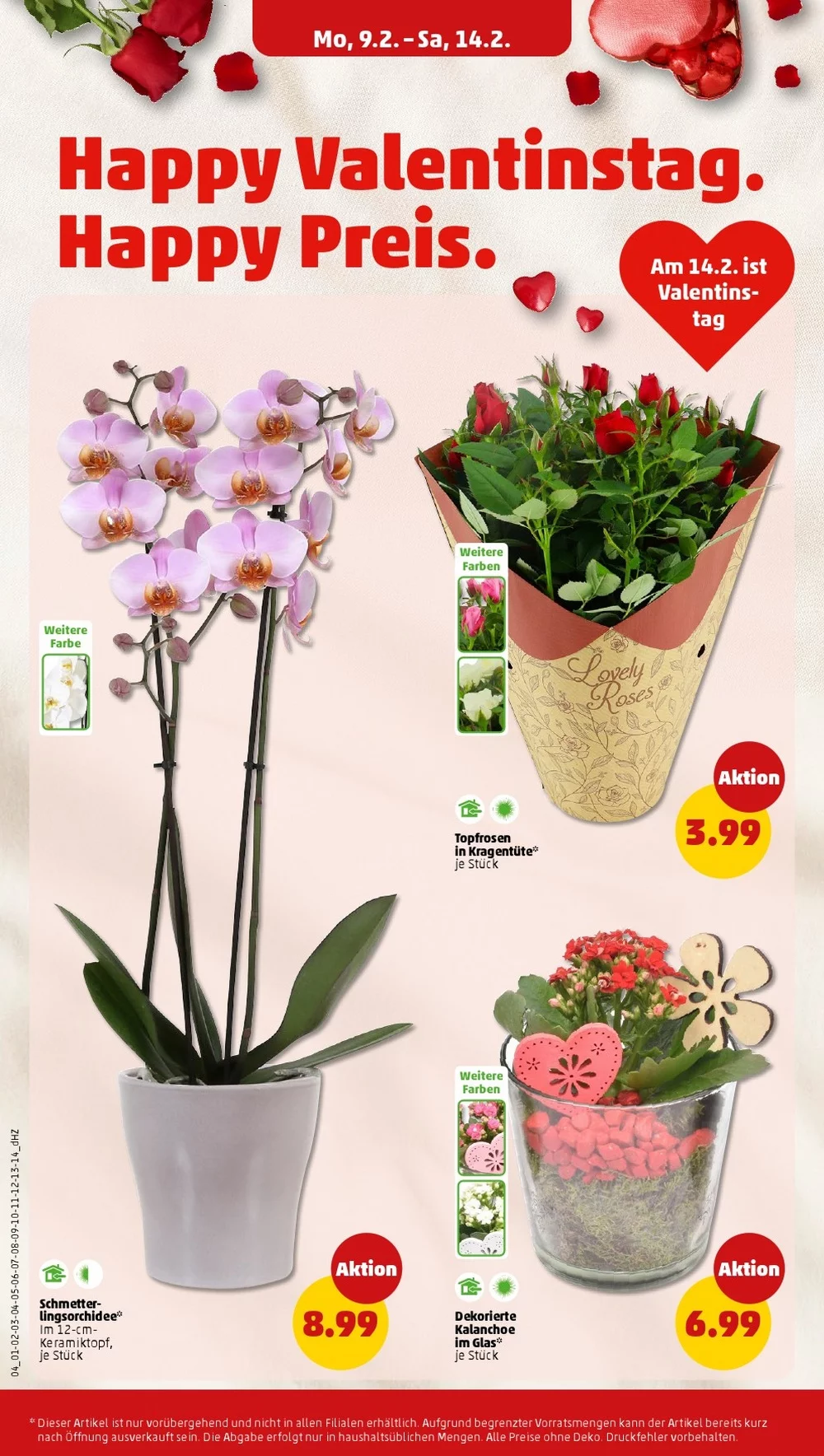 penny folder week 7 8