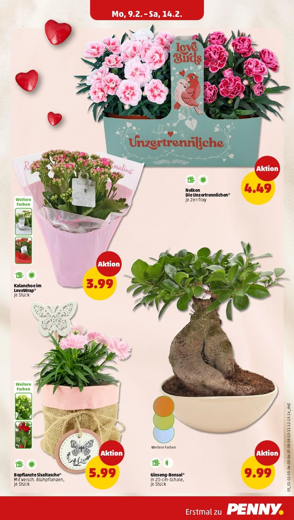 penny folder week 7 9