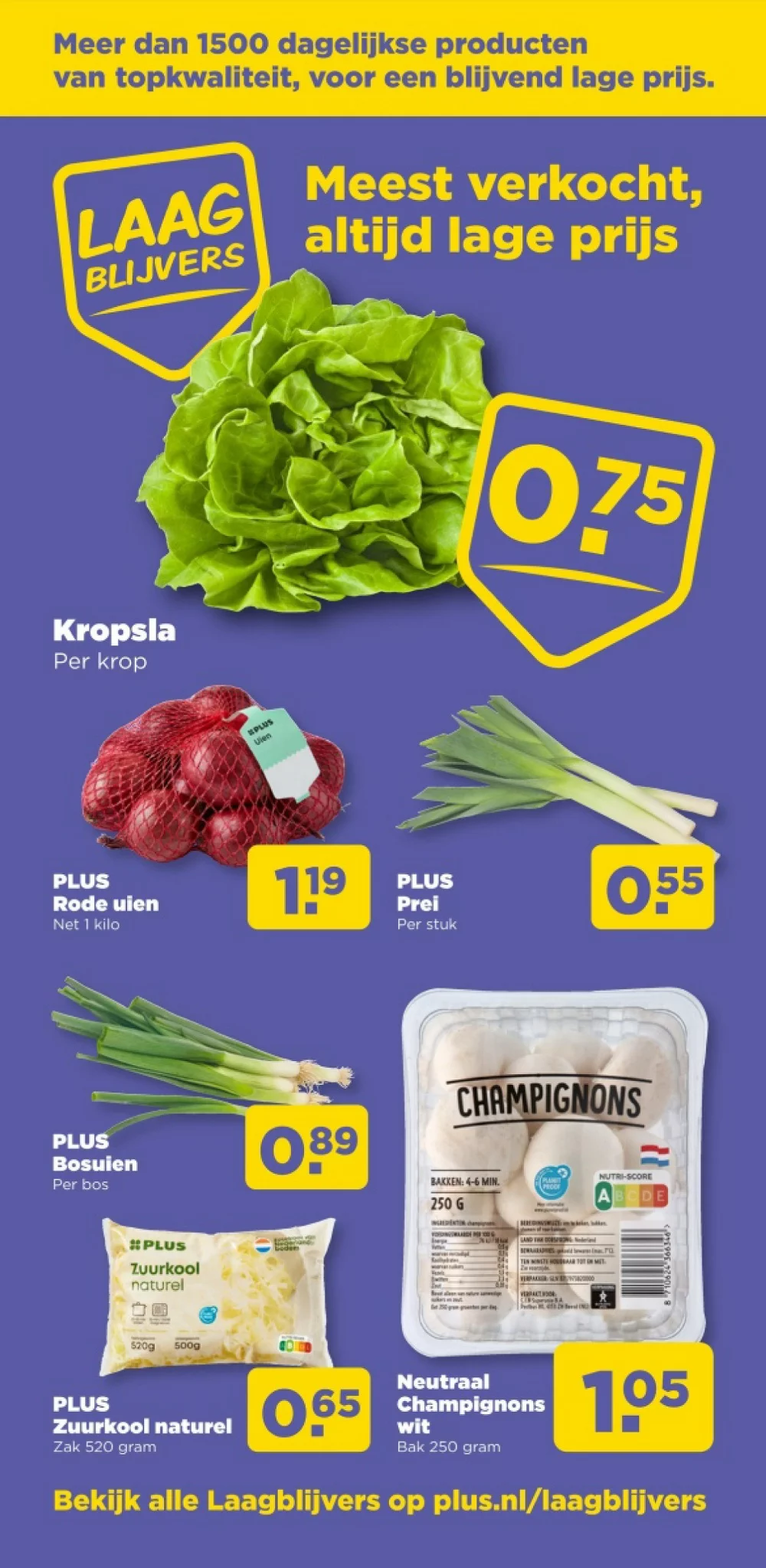 plus folder week 7 2026 38