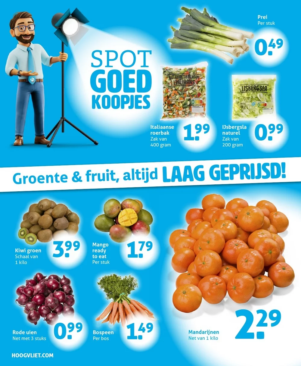 Hoogvliet folder week 8 12