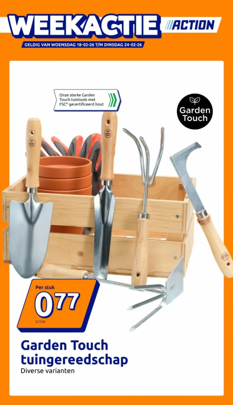 action folder week 8