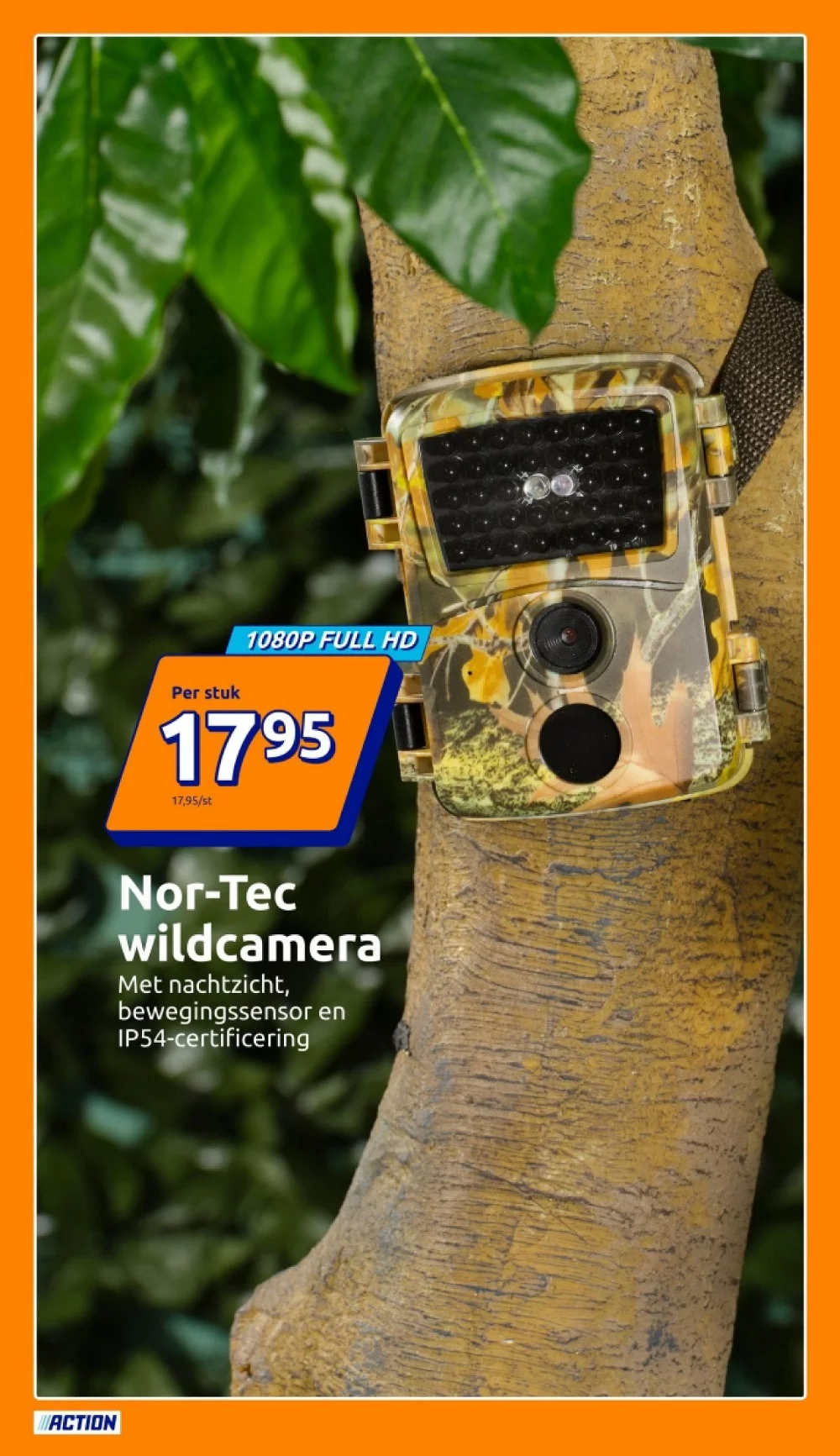 action folder week 8 2026 15