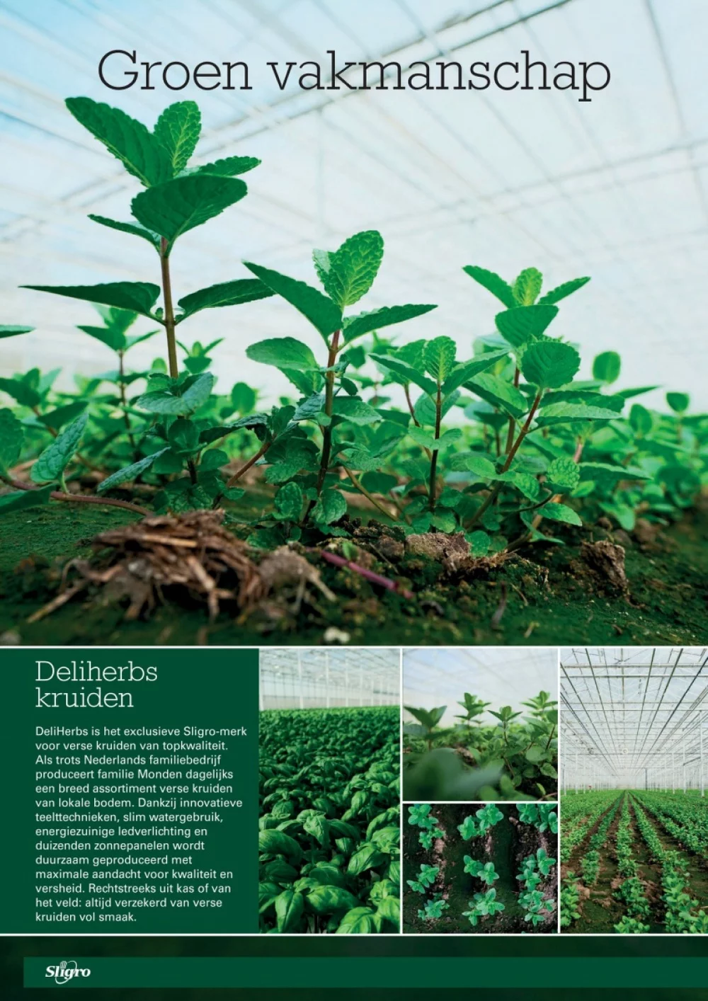 sligro folder week 24 26 2026 10