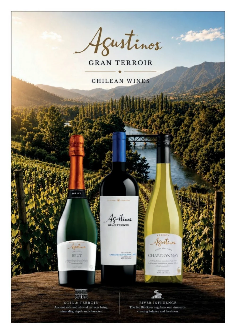 sligro folder week 24 26 2026 54
