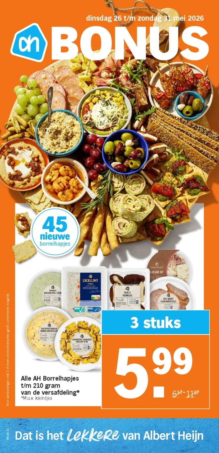 albert heijn folder week 22