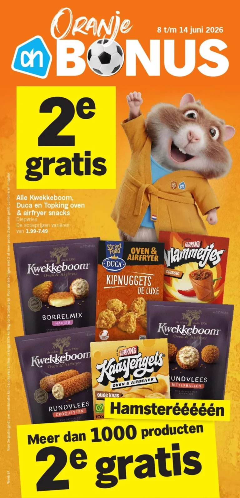 albert heijn folder week 24