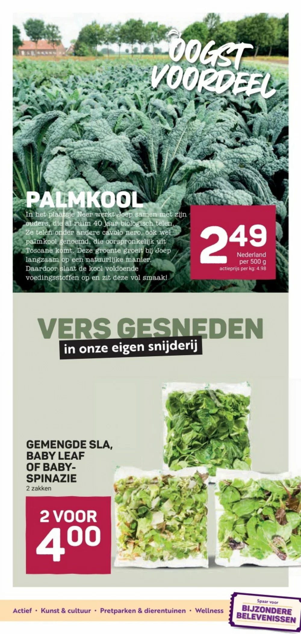 ekoplaza folder week 30 2026 11