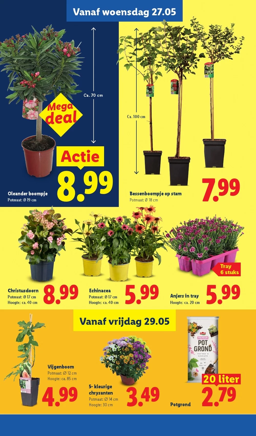 lidl folder week 22 33