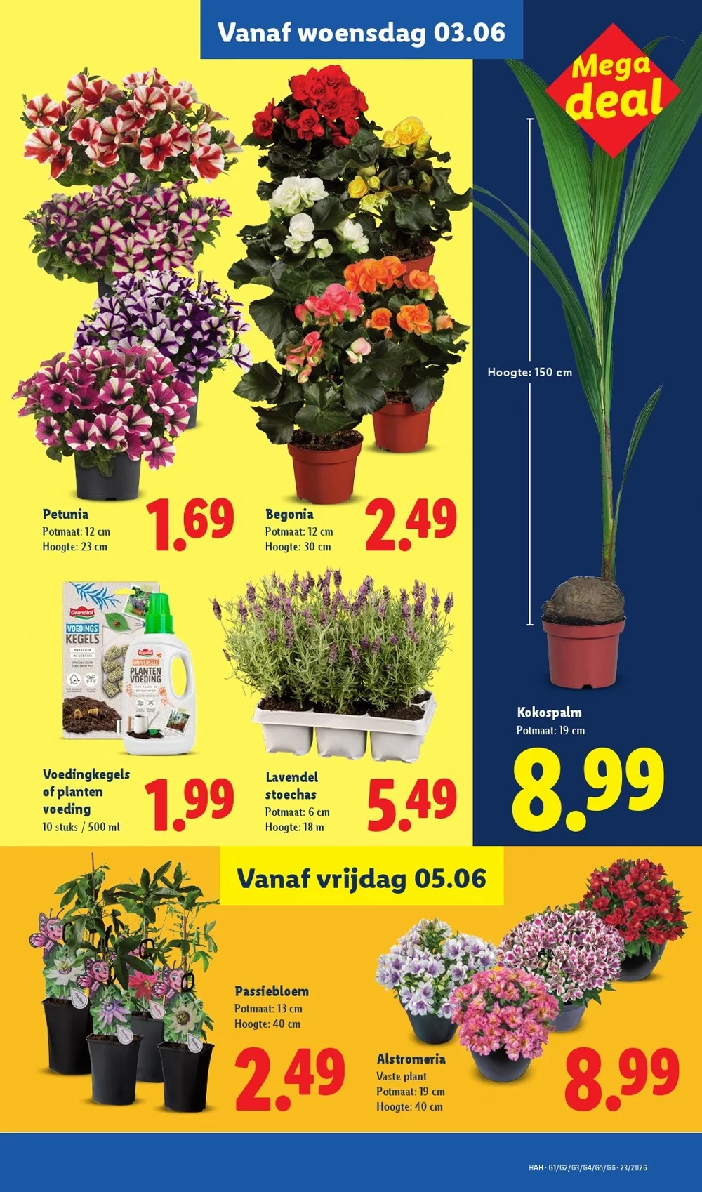lidl folder week 23 25