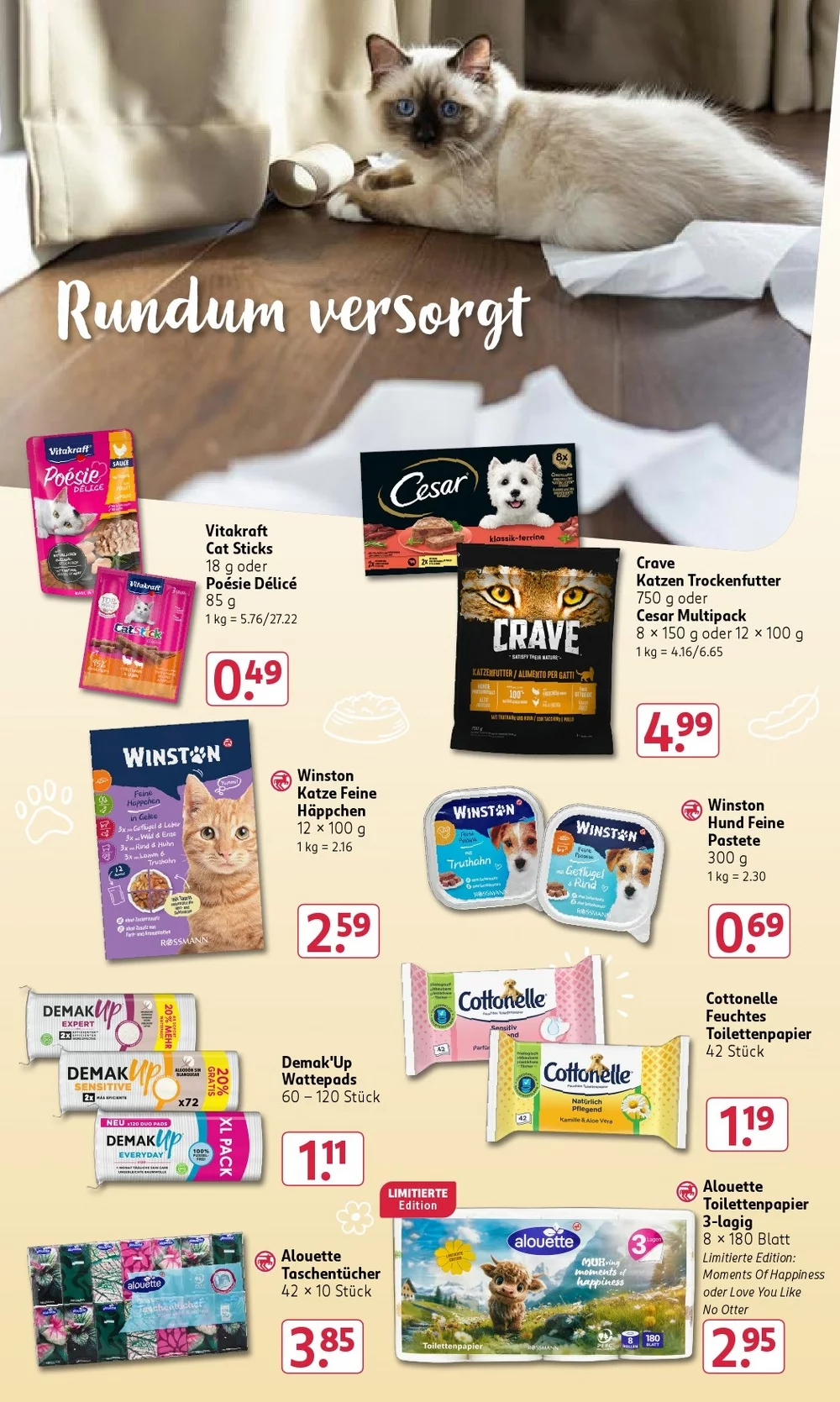 rossmann folder week 23 17