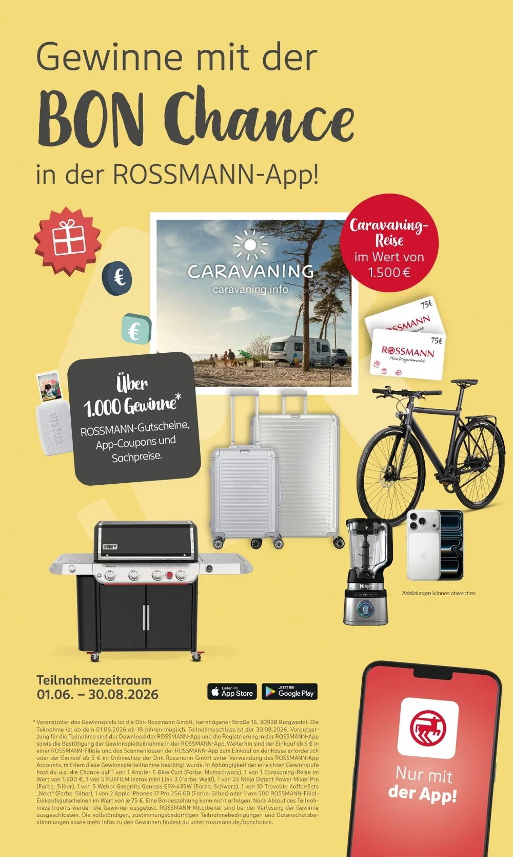 rossmann folder week 23 19