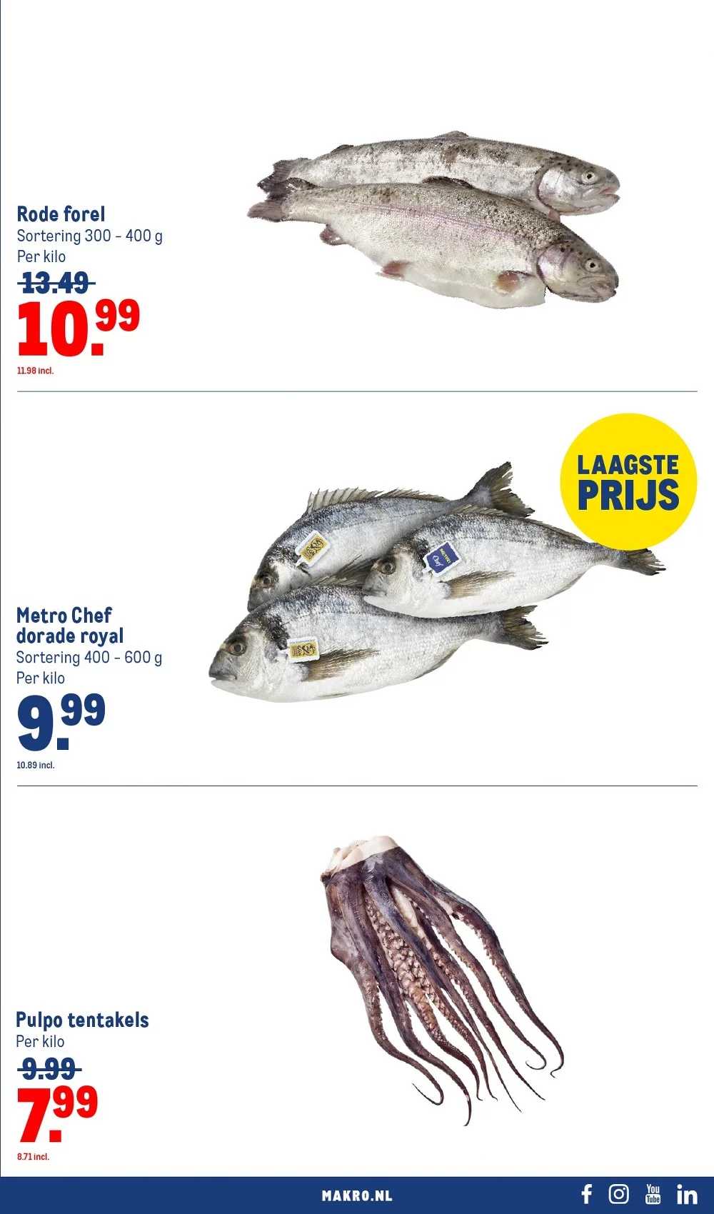 makro folder week 31 21