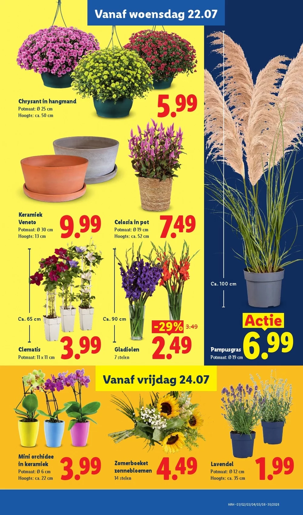 lidl folder week 30 14