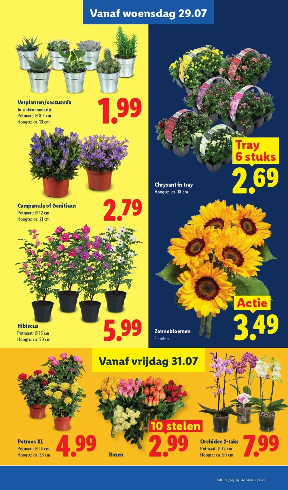 lidl folder week 31 23