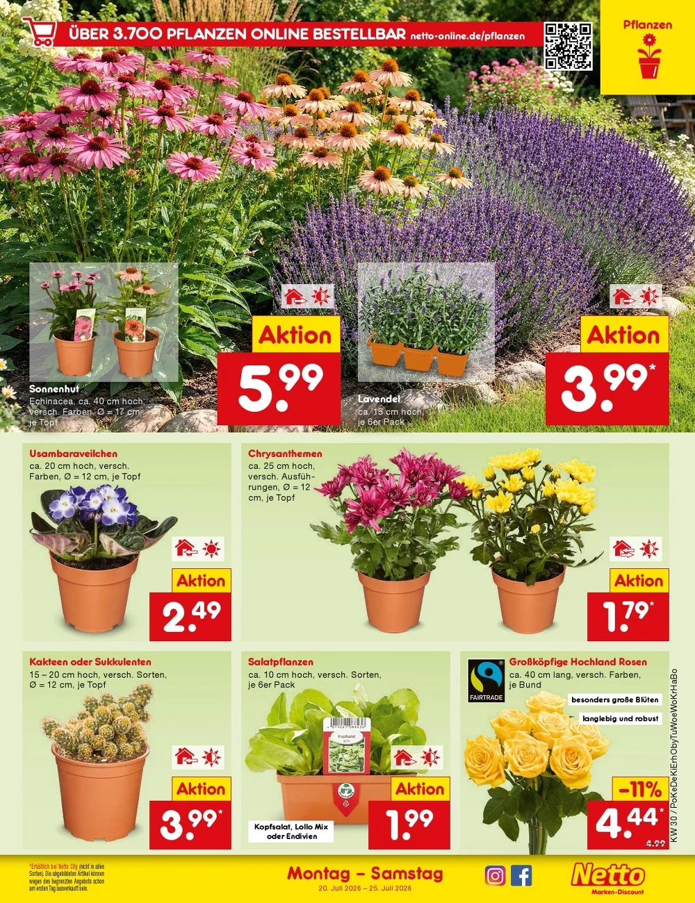 netto marken prospekt juli 27 august 1 47