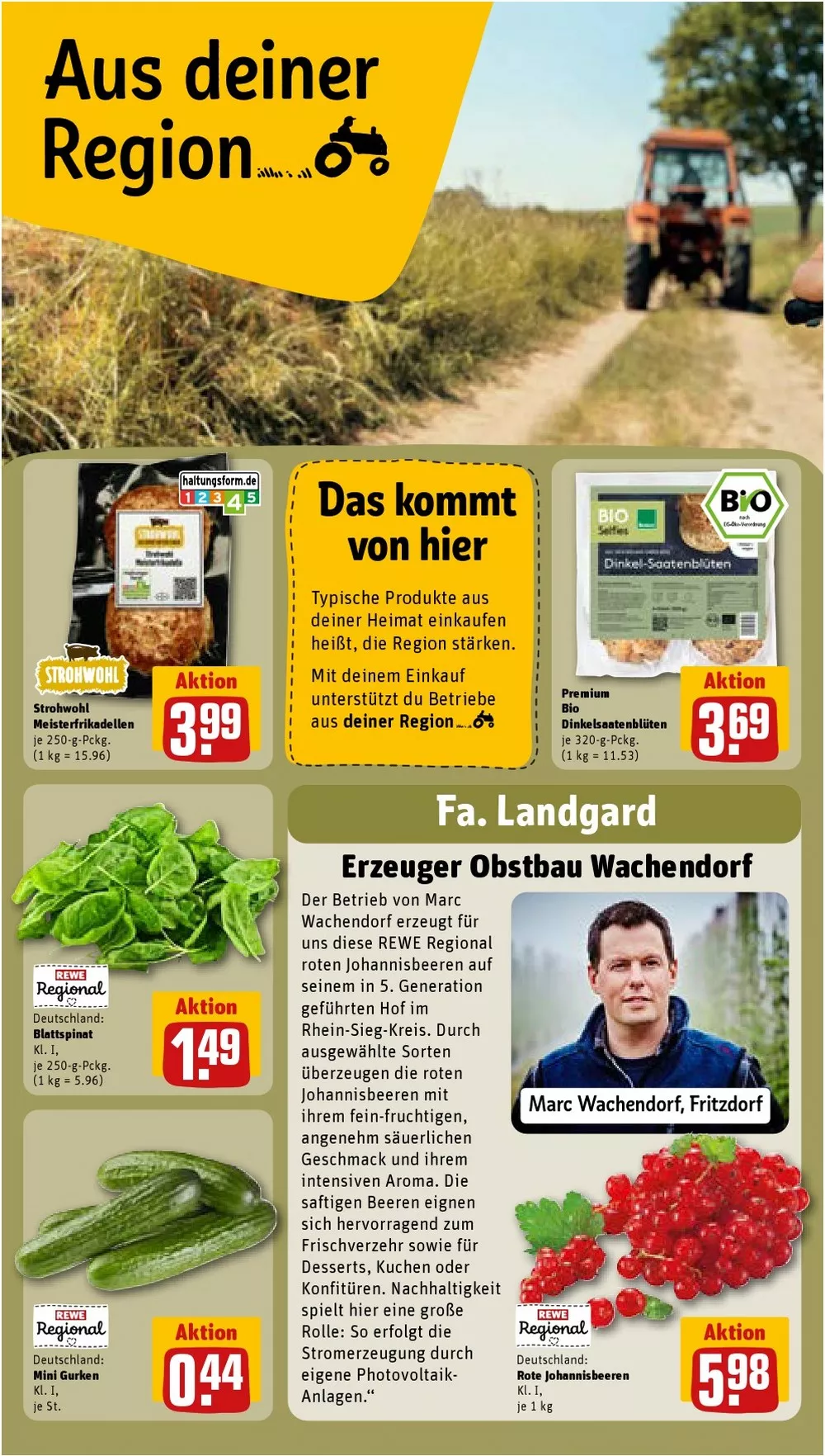 rewe prospekt folder juli 27 august 1 23