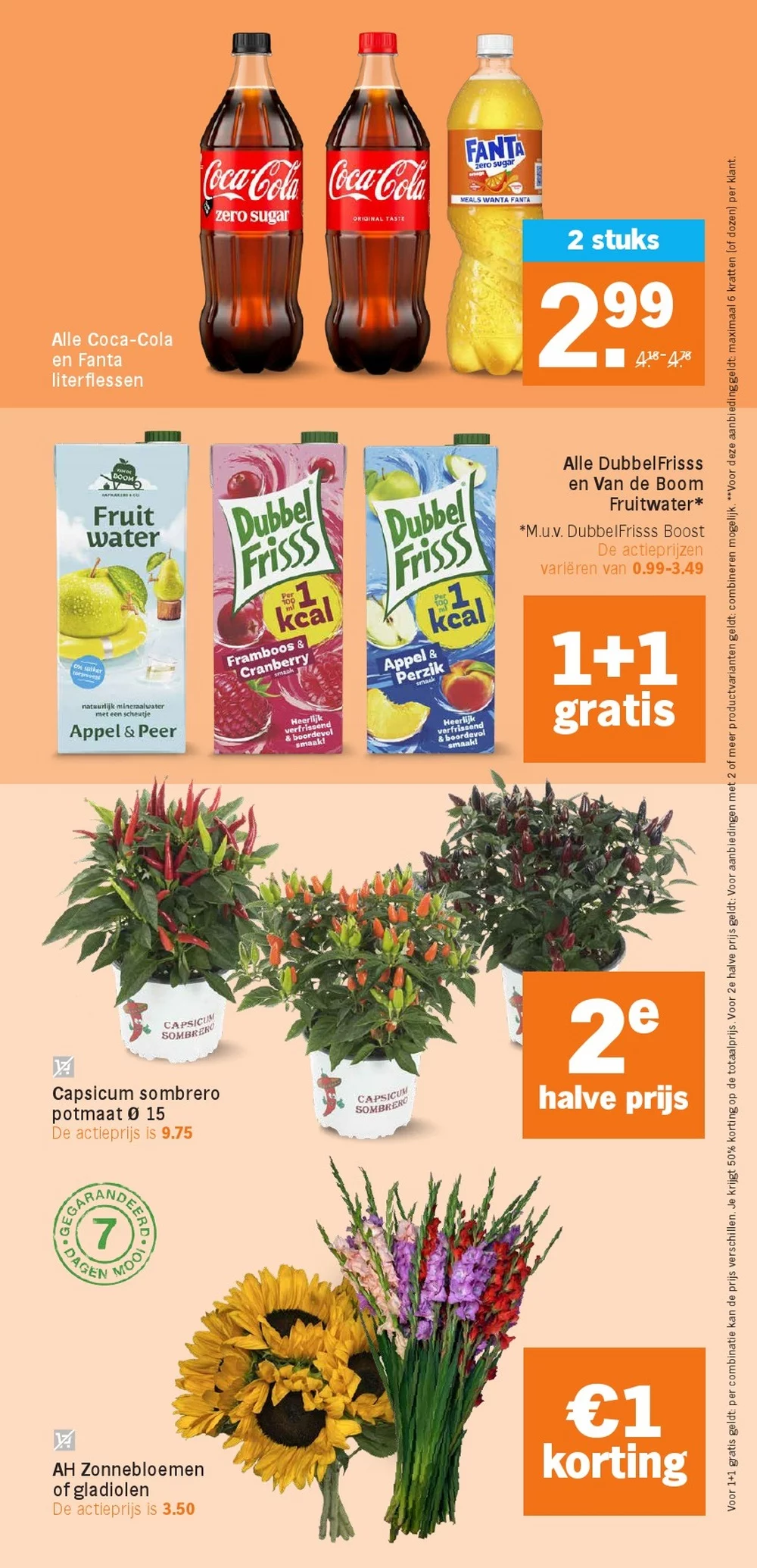 Albert Heijn folder week 37 31