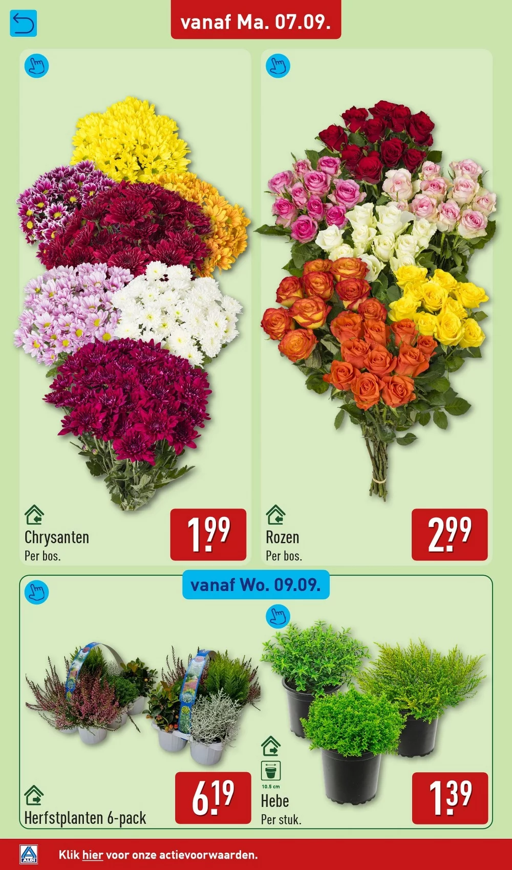 aldi folder week 37 34