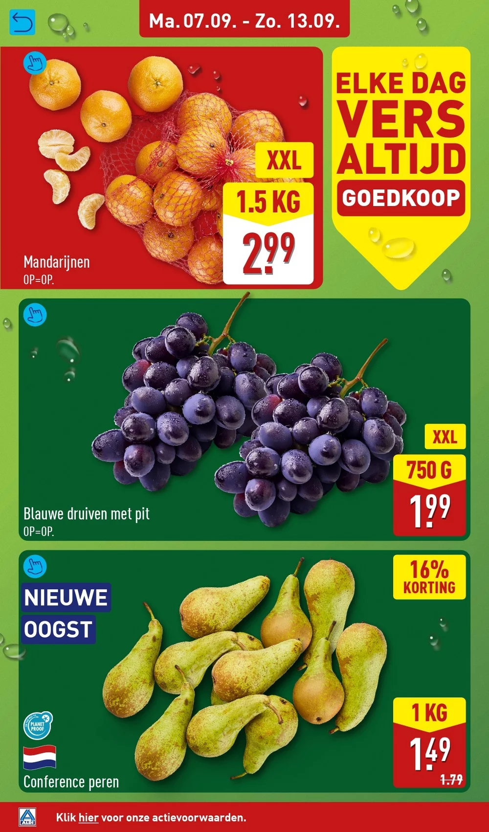 aldi folder week 37 4