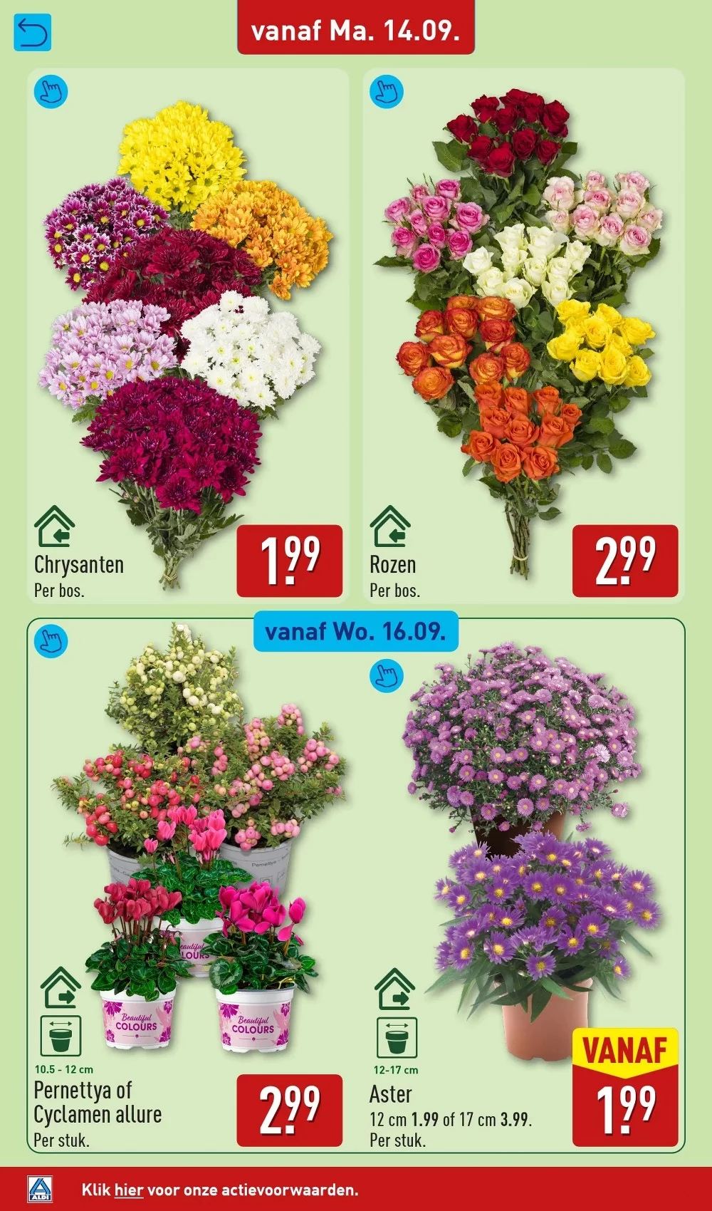 aldi folder week 38 32