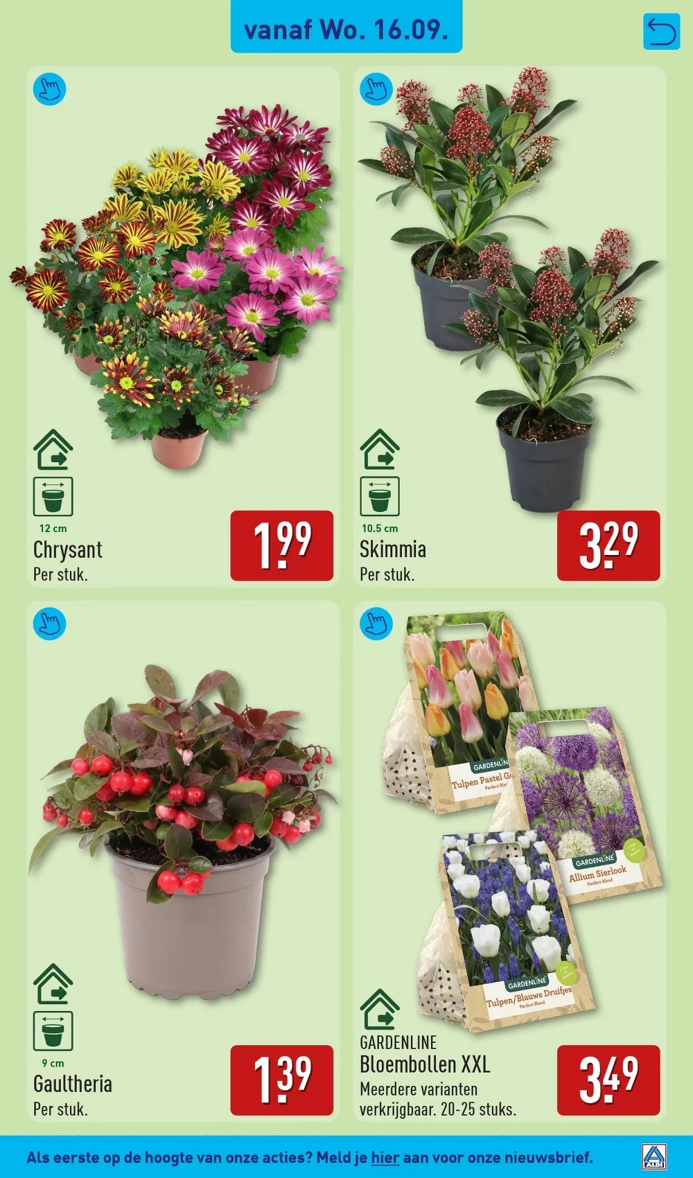aldi folder week 38 33
