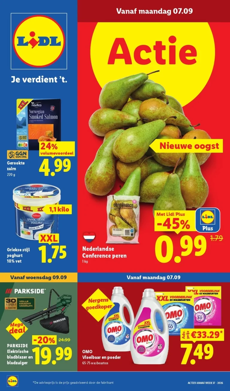 lidl folder week 37