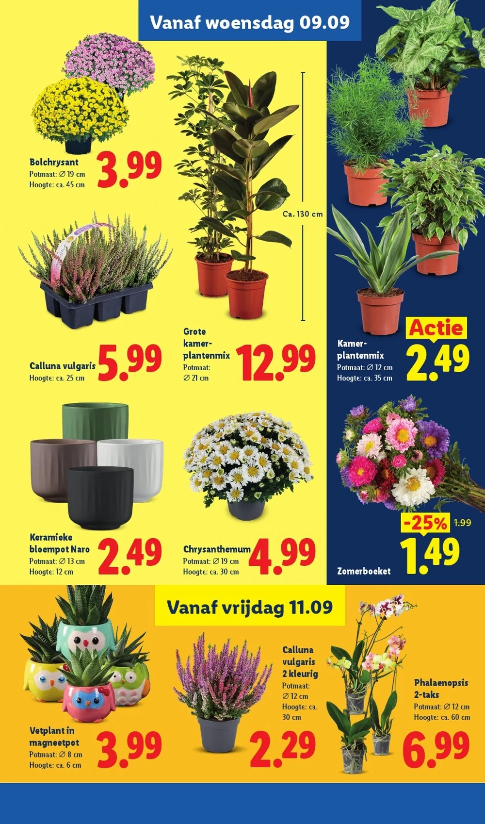 lidl folder week 37 36