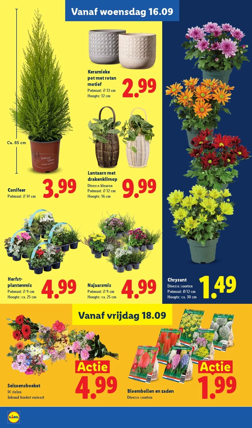 lidl folder week 38 17