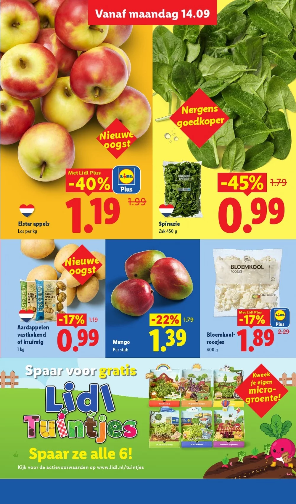 lidl folder week 38 5