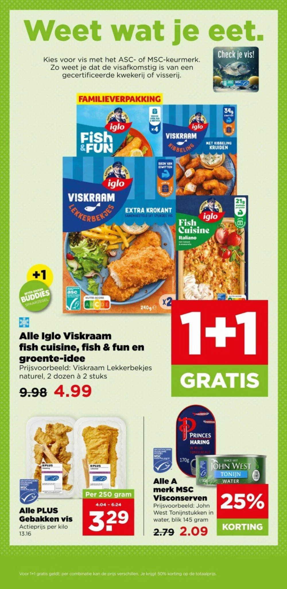 plus folder week 37 2026 12