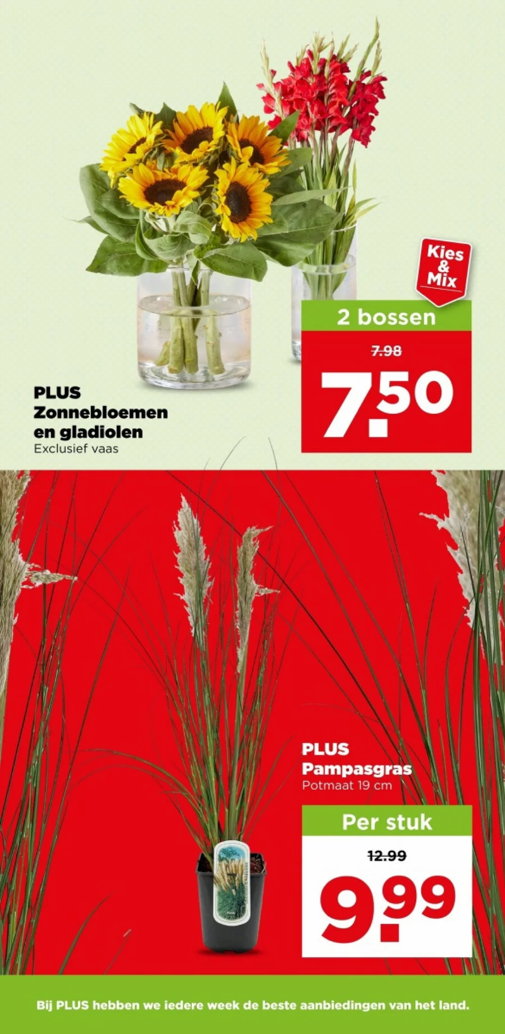 plus folder week 37 2026 41