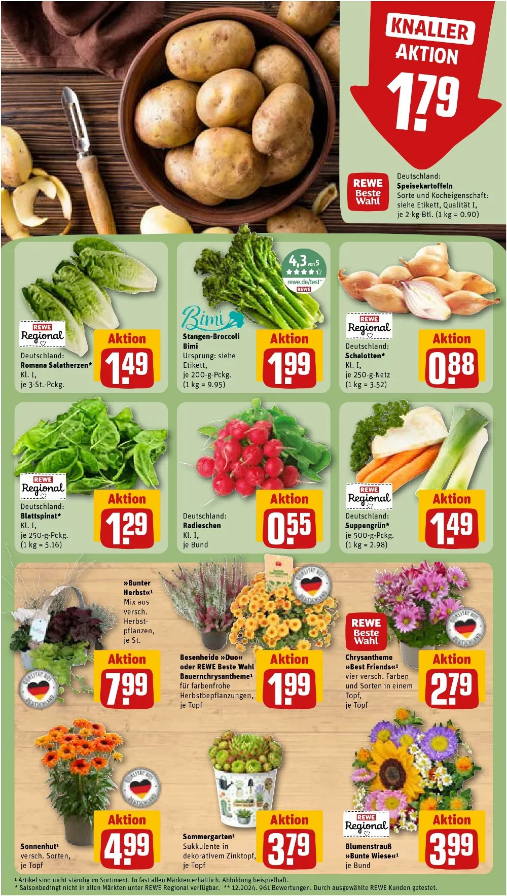 rewe folder sept 7 12 7