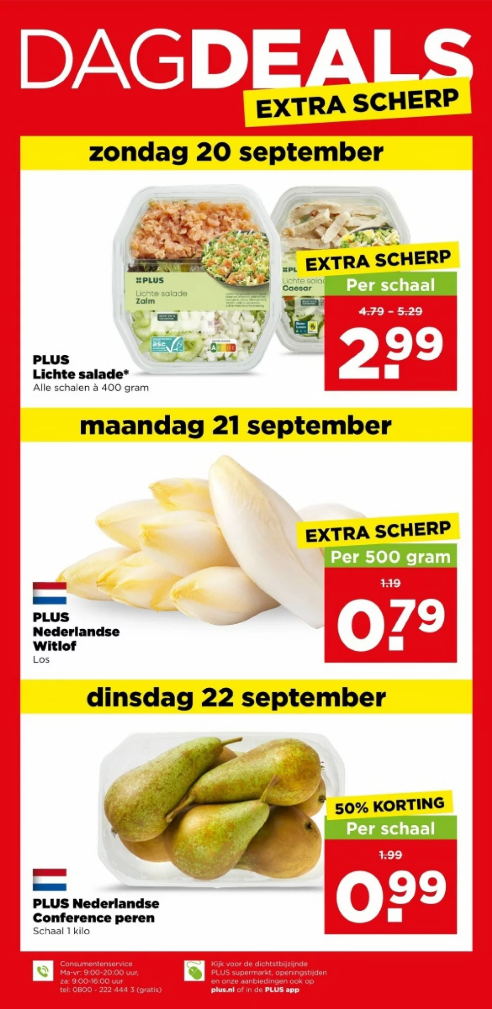 plus folder week 38 2026 41