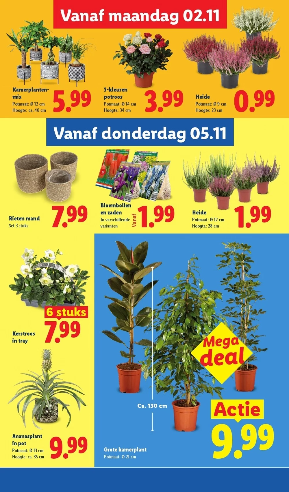lidl folder week 45 31