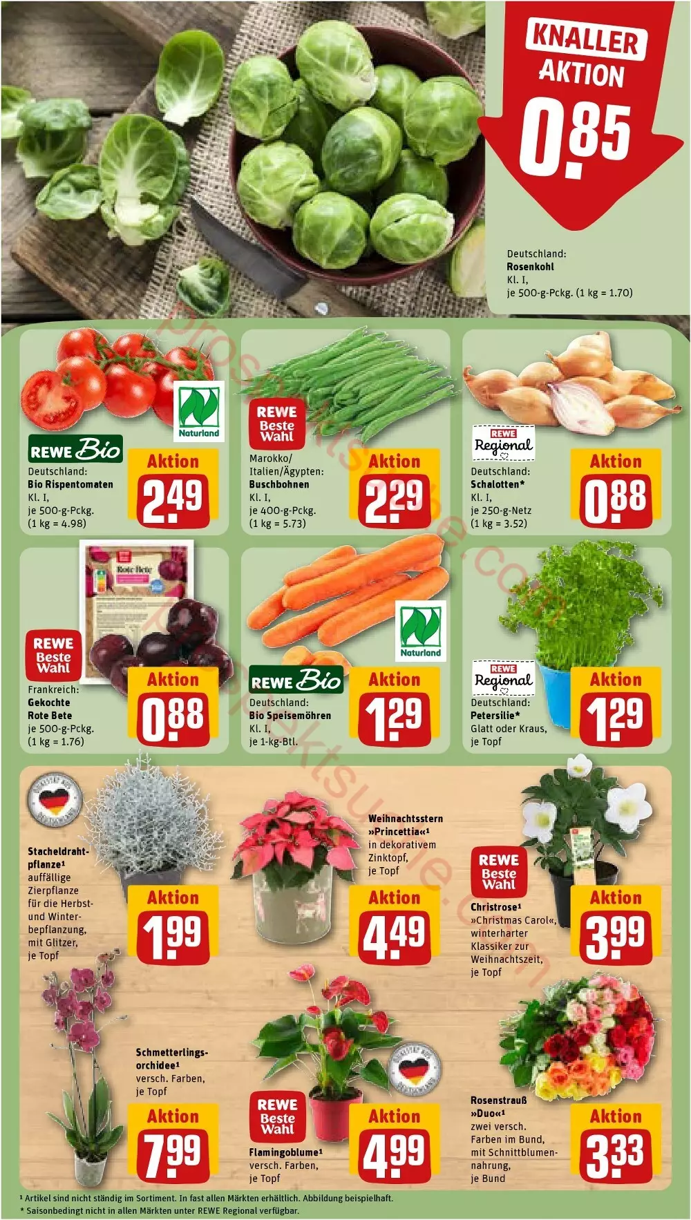 rewe folder november 2 7 7